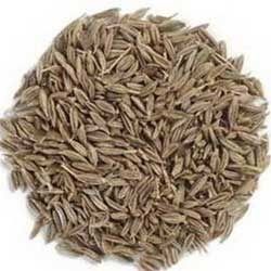 Cumin Seeds