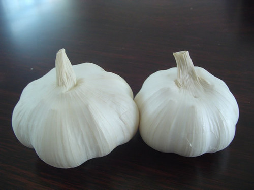 Fresh Garlic By azin khazar