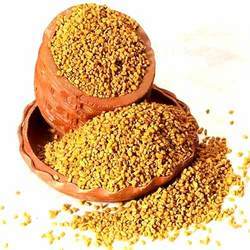 Fenugreek Seeds (Methi)