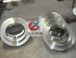 Stainless Steel Forging Ring