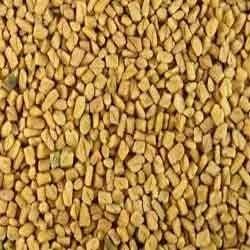 Fenugreek Seeds