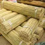 Bamboo Splits