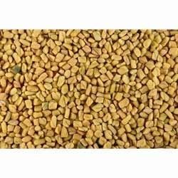 Fenugreek Seeds