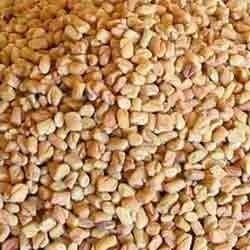 Methi Seeds Hardness: Rigid