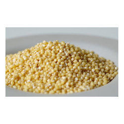 Millet - Qualitative Bajra Seeds | Rich In Nutrients, Versatile For Various Culinary Uses, Affordable Quality