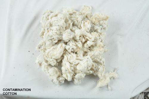 Cotton Waste Contamination