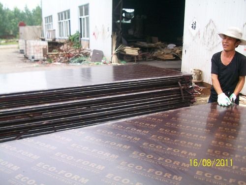 Brown Film Faced Plywood AAA Grade (CM 016)