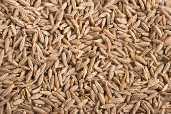 Cumin Seeds