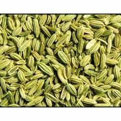 Fennel Seeds