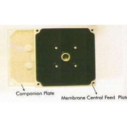 Membrane Plates