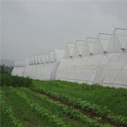Ventilated Greenhouse By Greenleaf Agrotech