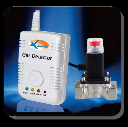 Gas Detector