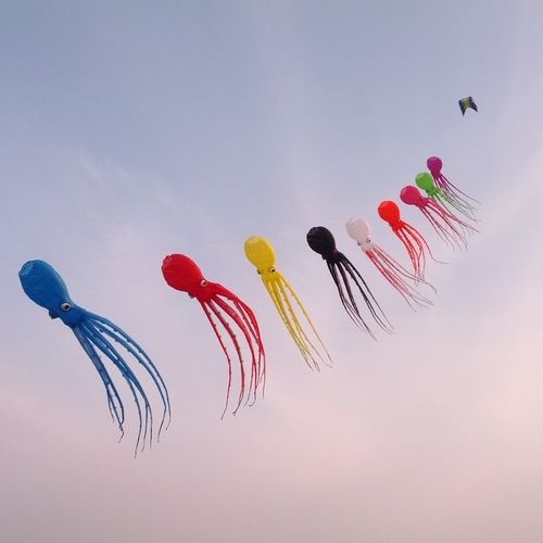 Soft Colorful Octopus Kites