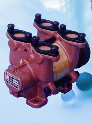 Seawater Pump (6135CaB)