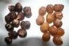 Silk Soap Nuts