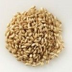 Barley - High-Quality Versatile Cereal Grain for Food Products, Cattle, Poultry, and Fish Feed