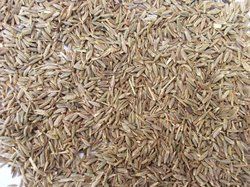 Cumin Seed