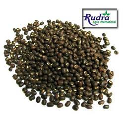 Urad Dal (Split Black Gram)