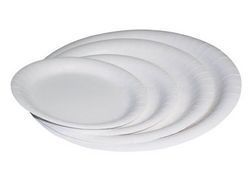 Paper Plate