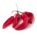 Red Chilli