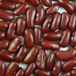 Kidney Beans