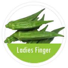 Ladies Finger