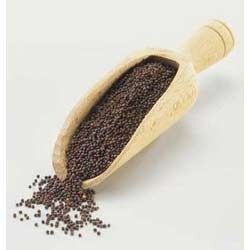 Brown Mustard Seeds - Premium Quality | Sourced from Reliable Vendors, Guaranteed Freshness