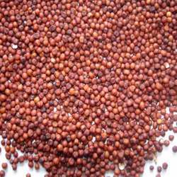 Natural Red Ragi Grain