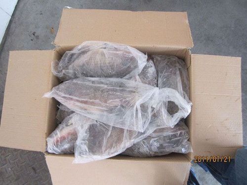 Chilled Whole Tilapia Fish