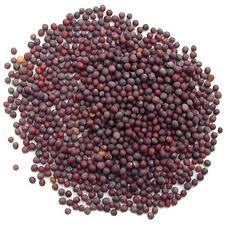 Black Mustard Seeds