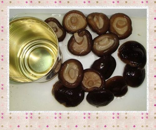 Canned Shiitake Mushroom