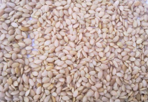 Indrayan Seed (Citrullus Colocynthis Seed)