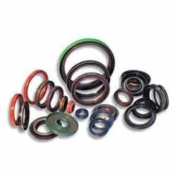 Oil Seals