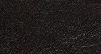 Pinara Artificial Leather