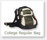 College Regular Bags