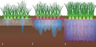 Soil Wetting Agents