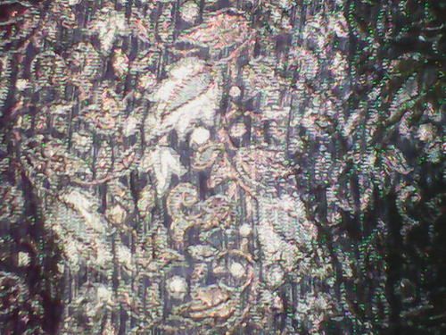 Jacquard Double Cloth Fabric