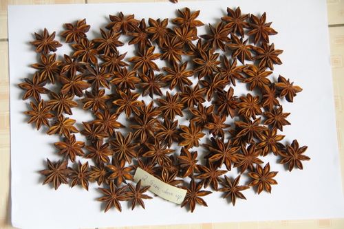 Autumn Star Anise