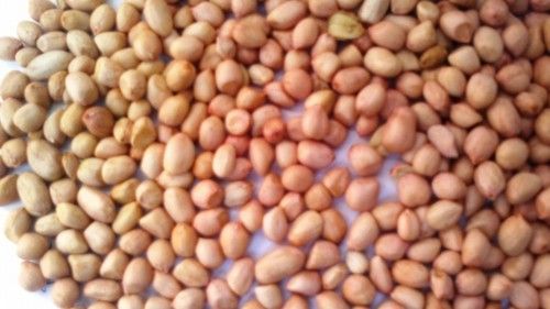 Indian Peanuts