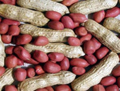 Red Skin Peanut With Shell
