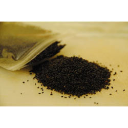 Basil Seed - Premium Quality, High Durability | Ideal for Healthy Gardening