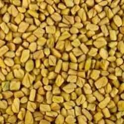 Fenugreek Seed