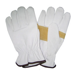 Groom Driving Gloves