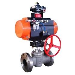 Microne Plug Valves