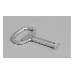 Zinc Casted Keys