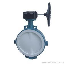 Lined Butter Fly Valve