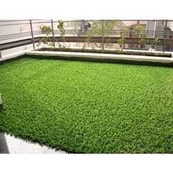 artificial lawn grass