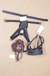 Bull Terrier Harness With Brass