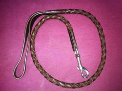 dog lead