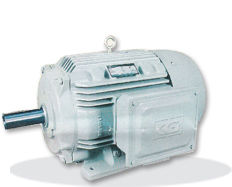 Nd Series Crompton Greaves Electrical Motors